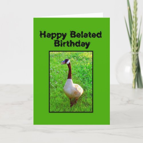 Happy Belated Birthday Honking Goose Card