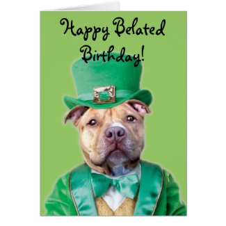 Happy Belated Birthday Irish Pitbull  card