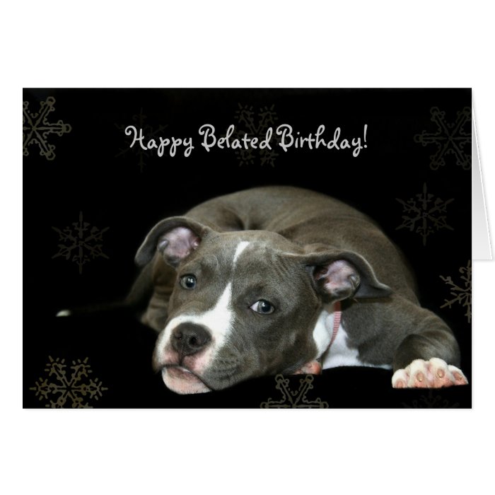Happy Belated Birthday Pitbull puppy greeting card