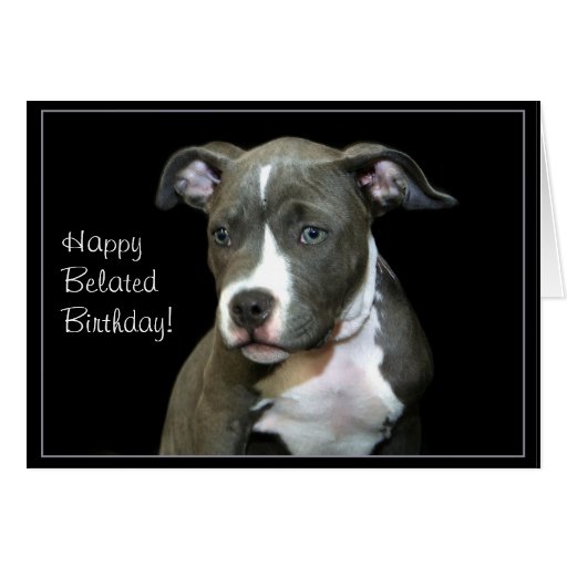 Happy Belated Birthday Pitbull puppy greeting card | Zazzle