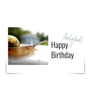 "Happy Belated Birthday" Snail Mail Card
