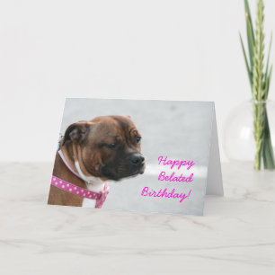 Happy Belated Birthday staffordshire terrier card