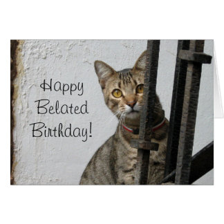 Cat Belated Birthday Gifts on Zazzle