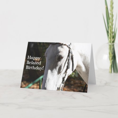 Happy Belated Birthday White Horse Greeting Card