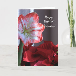 Happy Belated Christmas Amaryllis flower card
