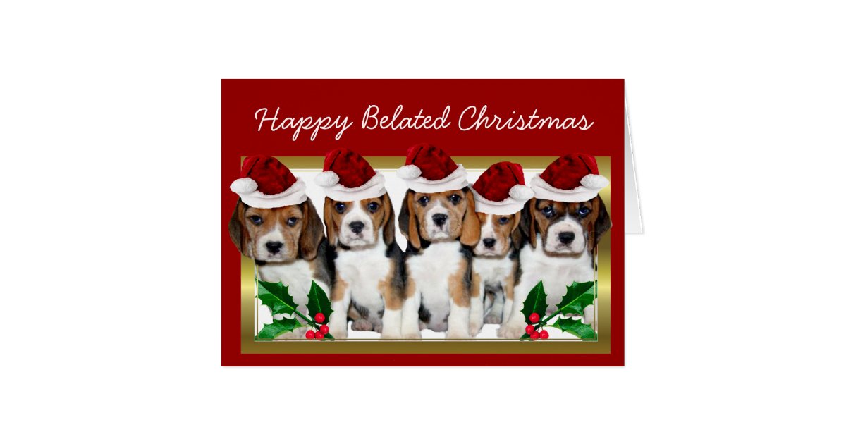 Happy Belated Christmas Beagle puppies card | Zazzle