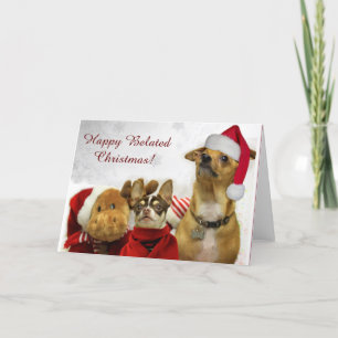 Happy Belated Christmas Chihuahuas greeting card