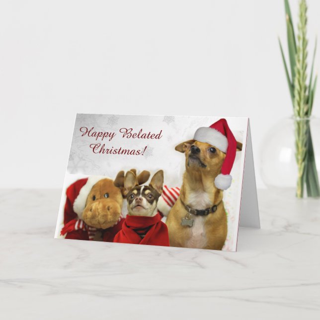 Happy Belated Christmas Chihuahuas greeting card (Front)