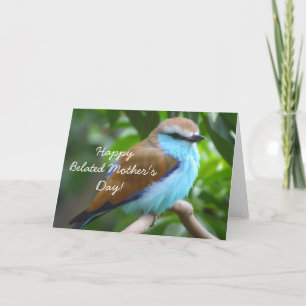 Happy Belated Mother's Day Beautiful bird card