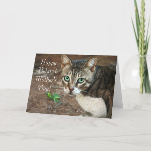 Happy Belated Mothers Day Cat greeting card