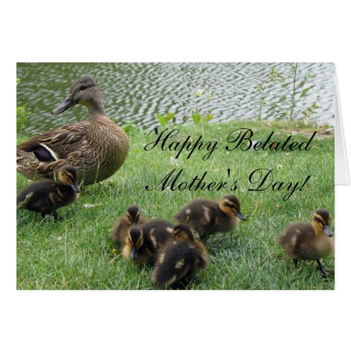 Happy Belated Mother's Day Mallard Ducks Card | Zazzle