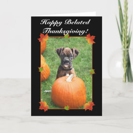 Happy Belated Thanksgiving boxer puppy card