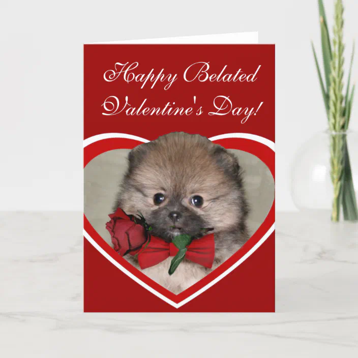 Belated Happy Valentine S Day Happy Belated Valentine's Day Pomeranian Card | Zazzle.com