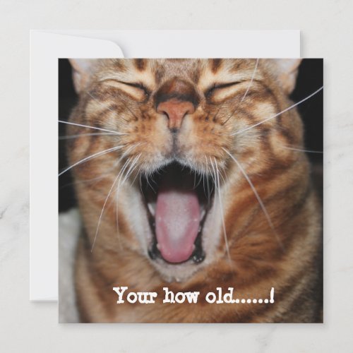 Happy Bengal Cat Birthday Card Your how old