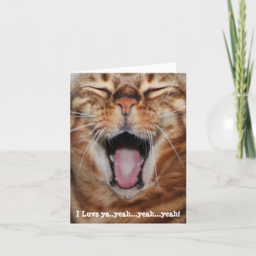 Happy Bengal Cat I luvs yayeahyeahyeah Holiday Card