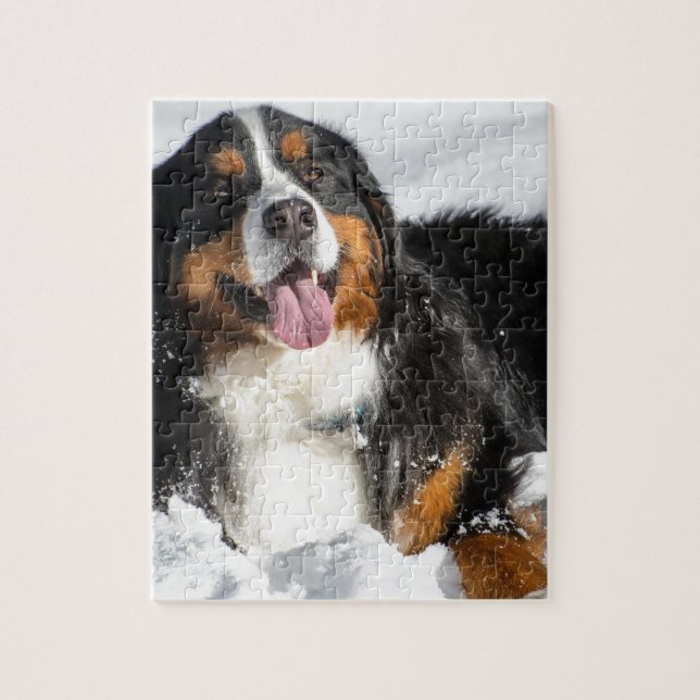 Happy Bernese Mountain Dog In Winter Snow Jigsaw Puzzle (Vertical)