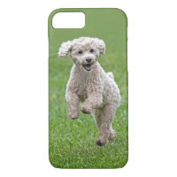 Happy Bichon Poodle puppy dog iPhone 8/7 Case