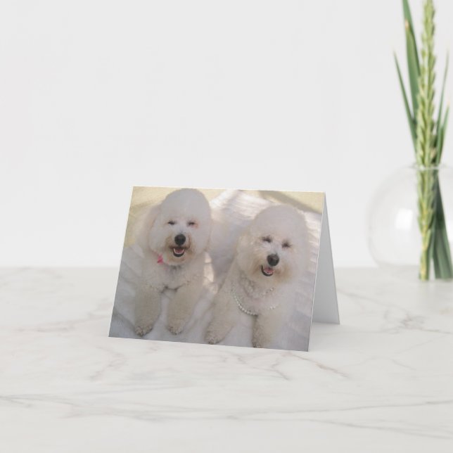 Happy Bichons! Card (Front)