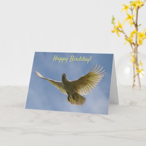 Happy Bird Day Birthday Cockatoo Flying Australia Card