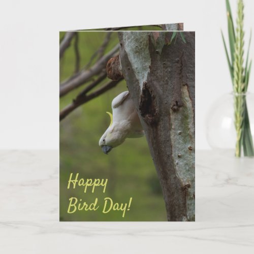 Happy Bird Day Funny Cockatoo Birthday Card