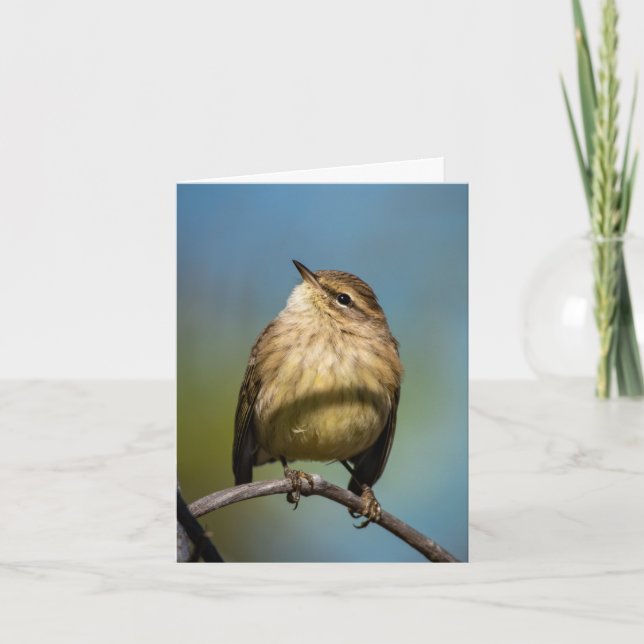 Happy Bird Greeting Card (Front)