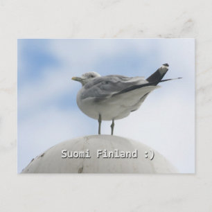 Happy Bird Postcard