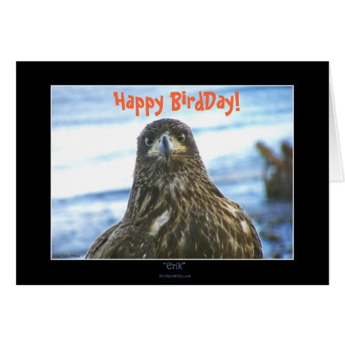 Happy BirdDay Bald Eagle Greeting_Card