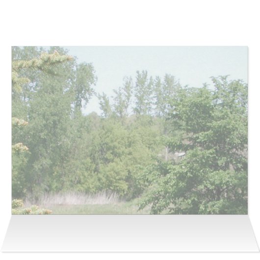 Happy Birthday (Inside Horizontal (Top))