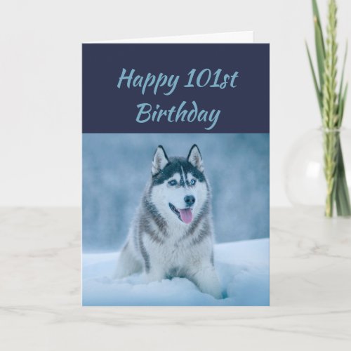 Happy Birthday 101st  Hundred One  Husky Dog Humor Card