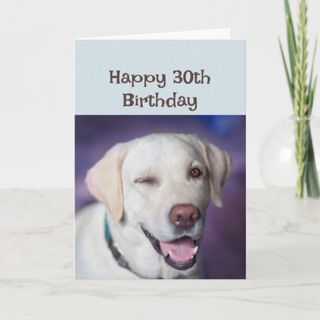 Happy Birthday 30th again Winking Dog Humor Card (Front)