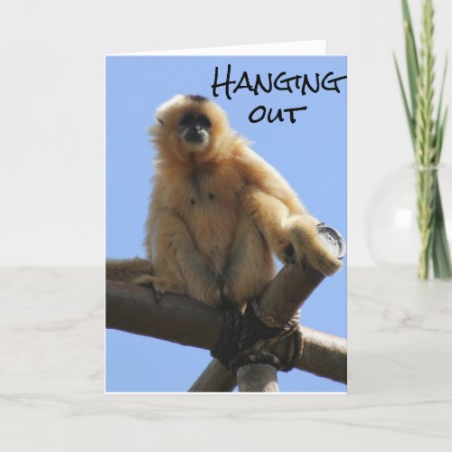 HAPPY BIRTHDAY40th BIRTHDAY JUST HANGING OUT Card