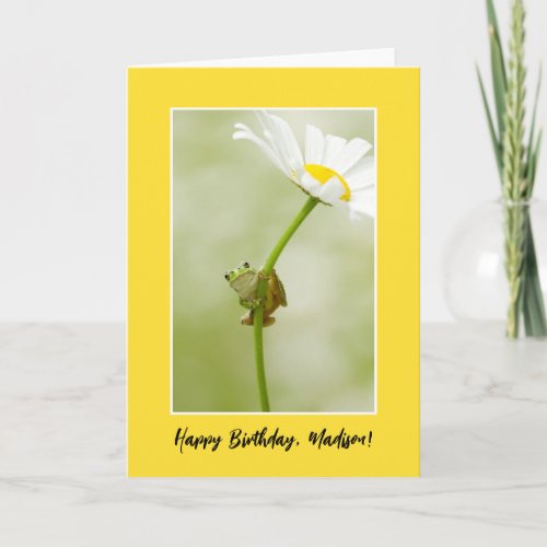Happy Birthday  A Cute Frog Card