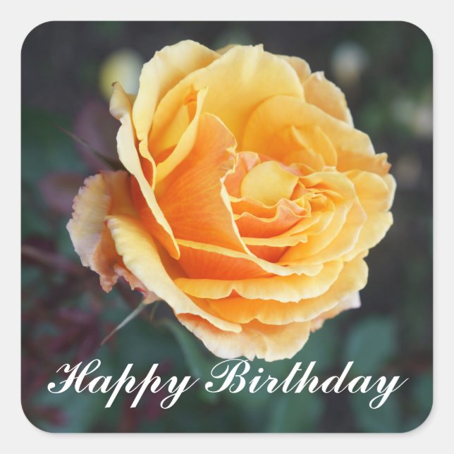 Happy Birthday About Face Rose #3 Stickers (Front)