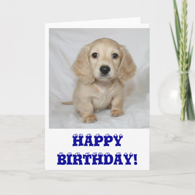 Happy birthday achshund card (Front)