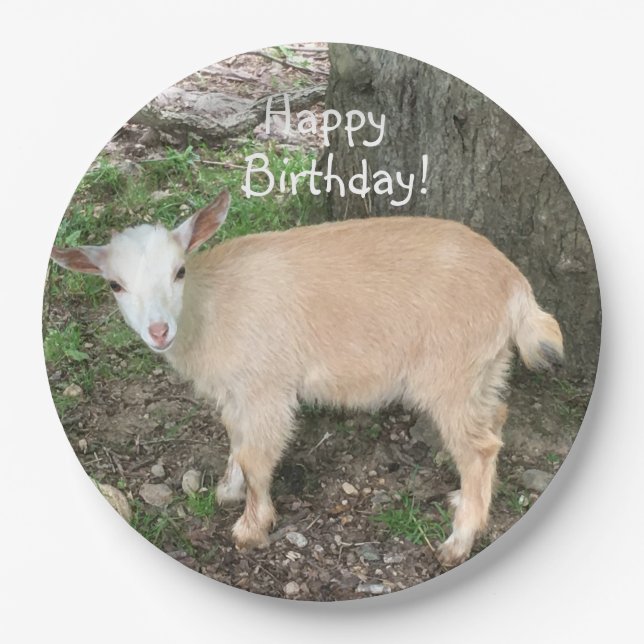Happy Birthday Adorable Baby Goat Paper Plates (Front)