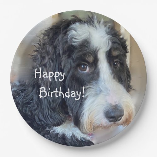 Happy Birthday Adorable Bernedoodle Paper Plates