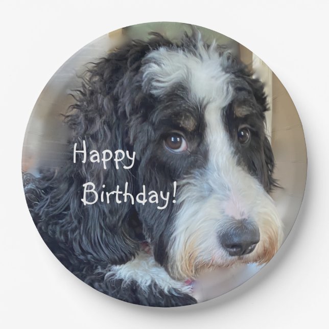 Happy Birthday Adorable Bernedoodle Paper Plates (Front)