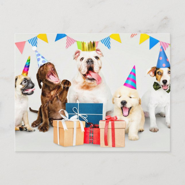 Happy Birthday Adorable Party Animals Postcard (Front)