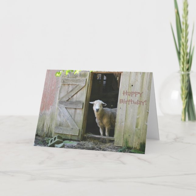 Happy Birthday Adorable Sheep Card (Front)