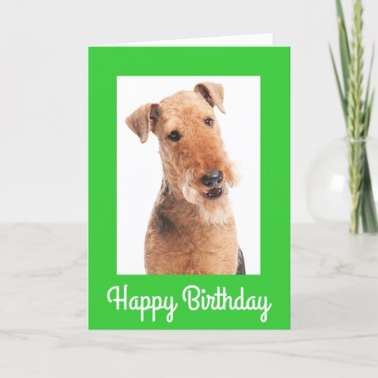 airedale birthday