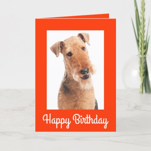 Happy Birthday Airedale Terrier Dog Greeting Card