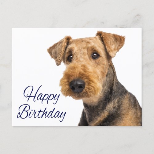 Happy Birthday Airedale Terrier Puppy Dog Blue Postcard