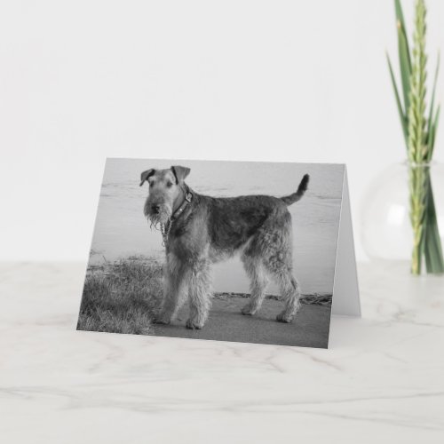 Happy Birthday Airedale Terrier Puppy Dog Card