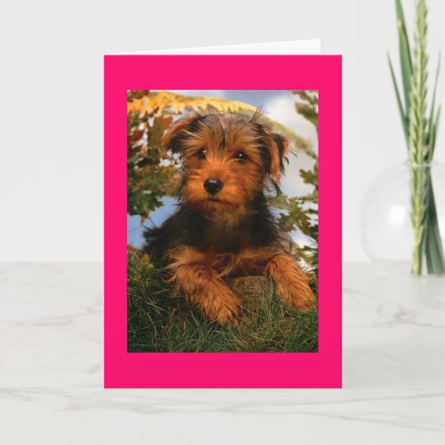 Happy Birthday Airedale Terrier Puppy Dog  Card (Front)