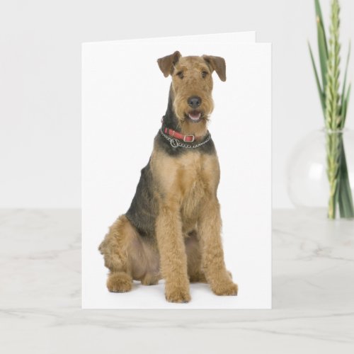 Happy Birthday Airedale Terrier Puppy Dog Card