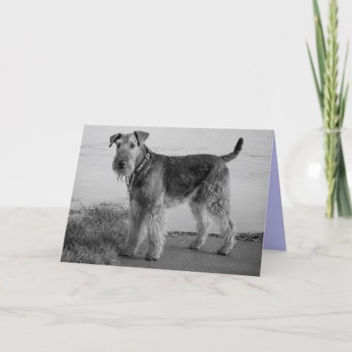 Happy Birthday Airedale Terrier Puppy Dog Card