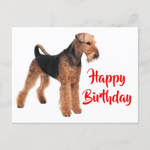 Happy Birthday Airedale Terrier Puppy Dog Postcard