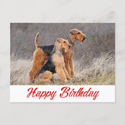 Happy Birthday Airedale Terrier Puppy Dog Red Postcard