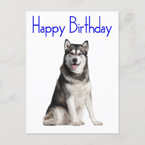 Happy Birthday Alaskan Malamute Puppy Dog  Card