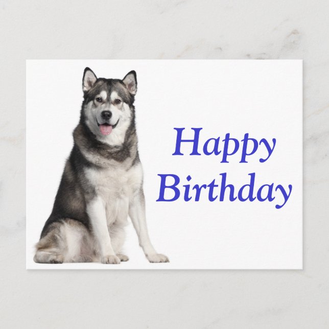 Happy Birthday Alaskan Malamute Puppy Dog  Card (Front)